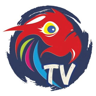 Macaw